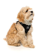 Swat - Dog Step In Harness